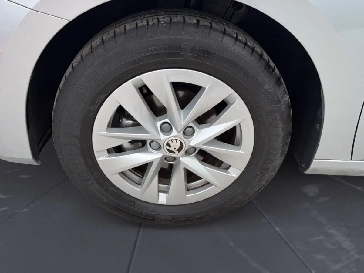 Skoda Fabia usata a Campobasso (14)