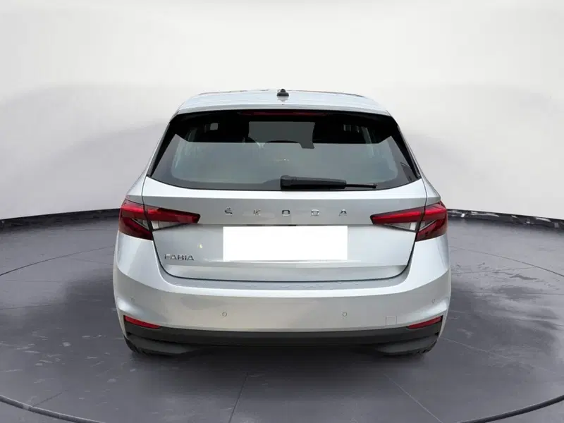 Skoda Fabia usata a Campobasso (4)
