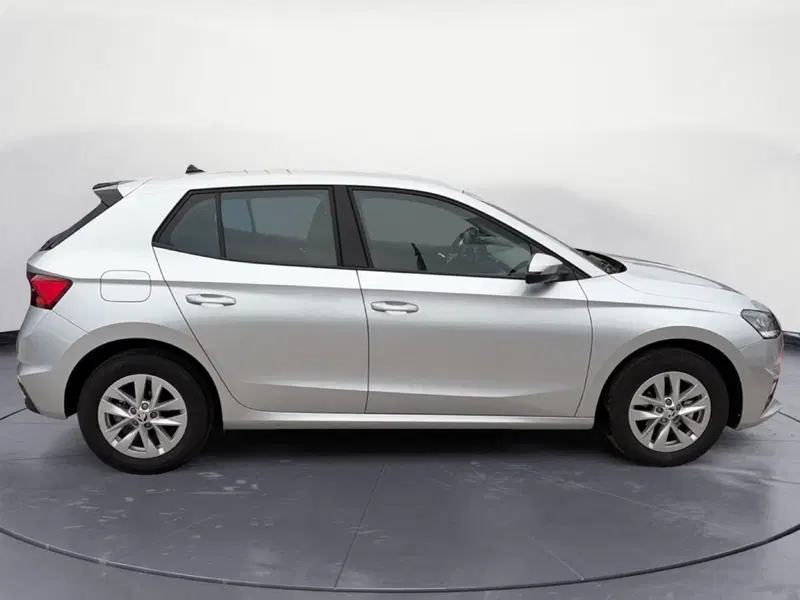 Skoda Fabia usata a Campobasso (7)