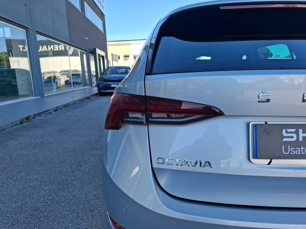 Skoda Octavia Station Wagon usata a Campobasso (10)