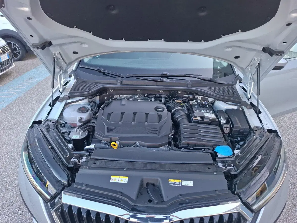 Skoda Octavia Station Wagon usata a Campobasso (13)