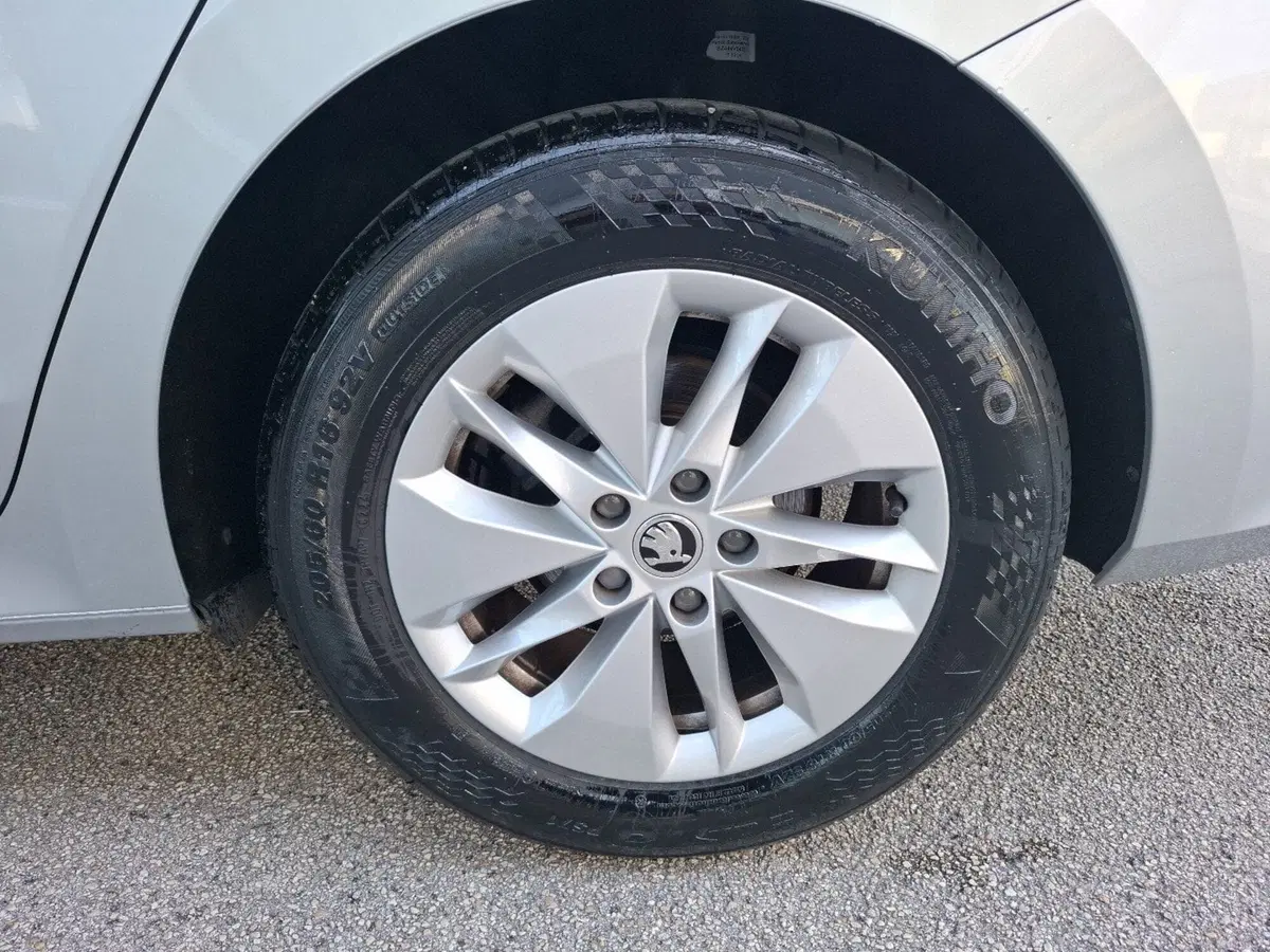 Skoda Octavia Station Wagon usata a Campobasso (15)