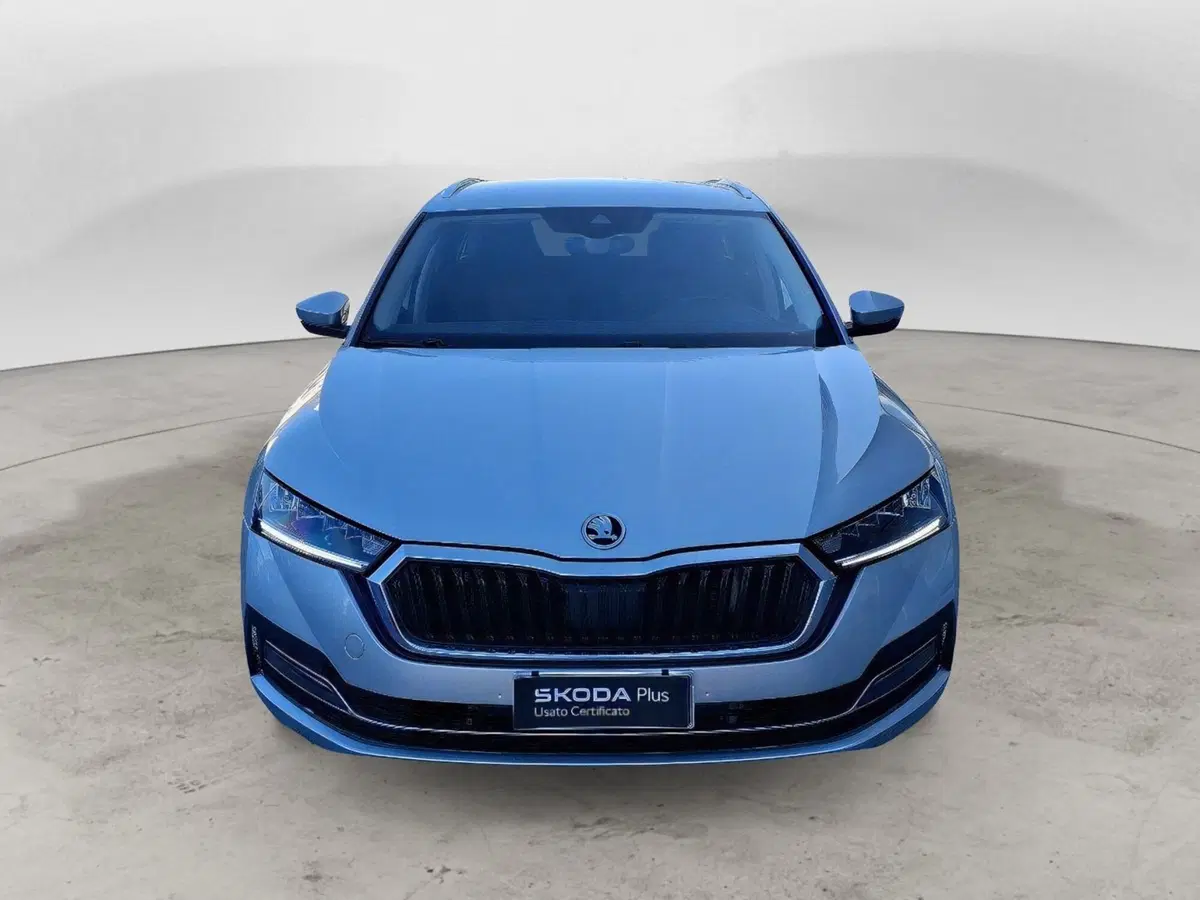 Skoda Octavia Station Wagon usata a Campobasso (3)
