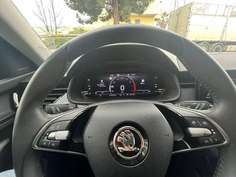 Skoda Kamiq usata a Ascoli Piceno (8)