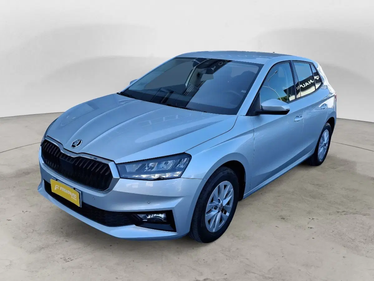 Skoda Fabia usata a Ancona