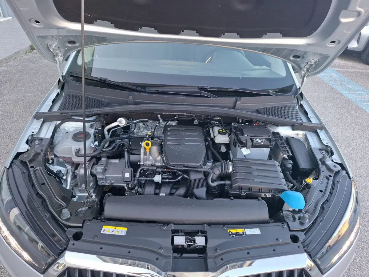 Skoda Fabia usata a Ancona (13)