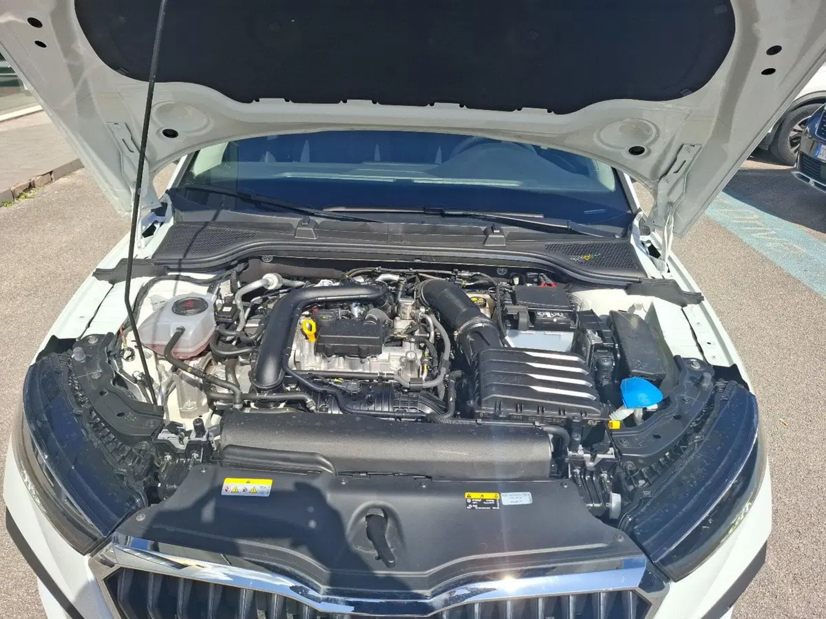 Skoda Scala usata a Ancona (13)