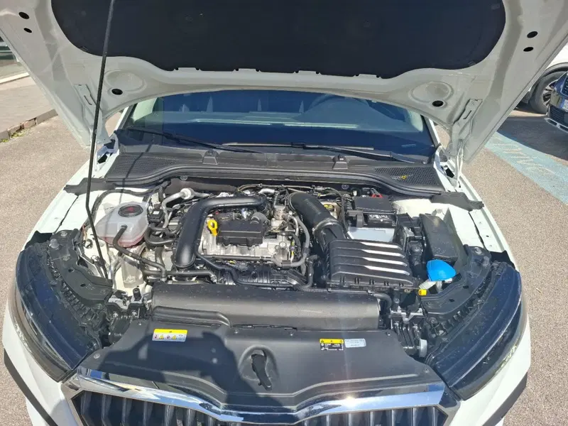 Skoda Scala usata a Ancona (13)