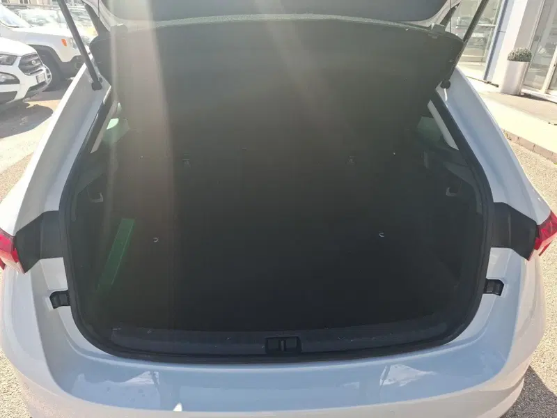 Skoda Scala usata a Ancona (14)