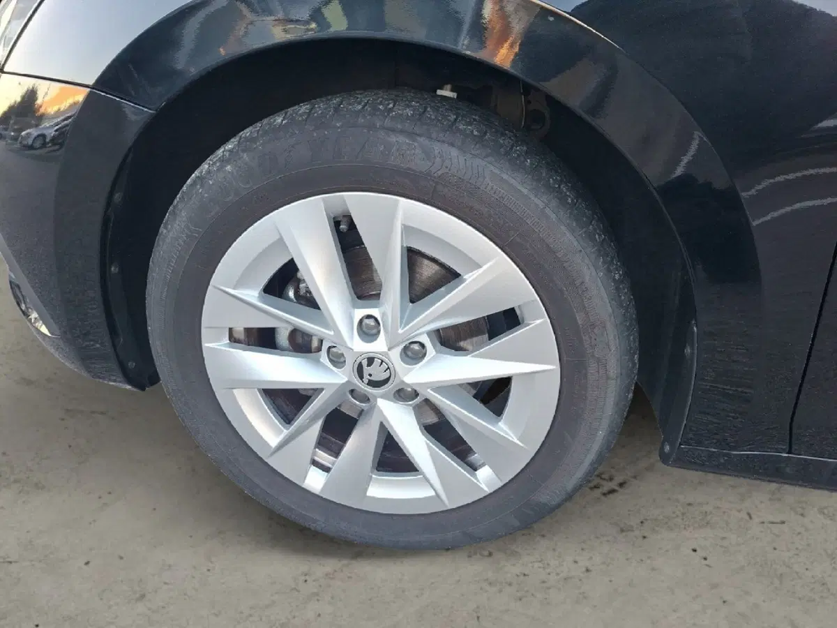 Skoda Octavia usata a Ancona (11)