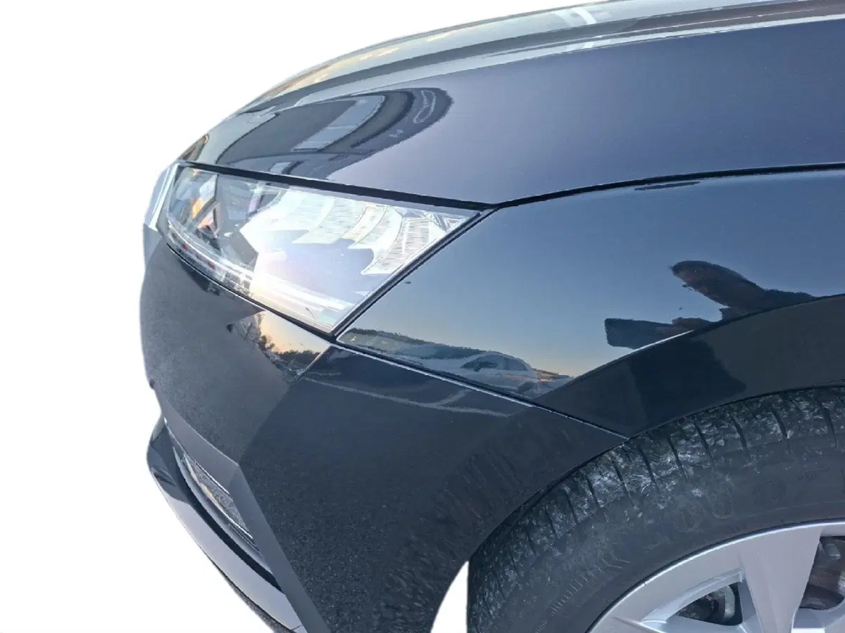 Skoda Octavia usata a Ancona (12)