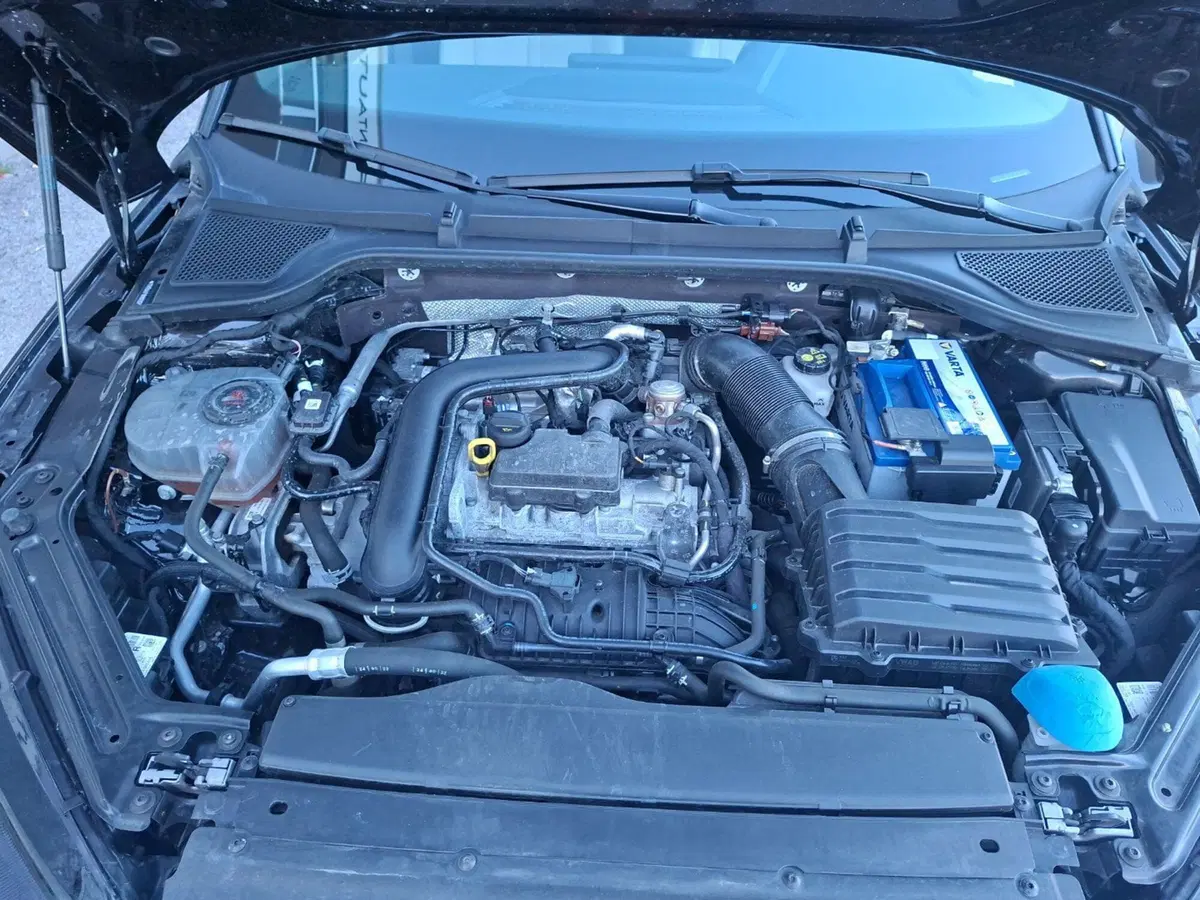 Skoda Octavia usata a Ancona (13)