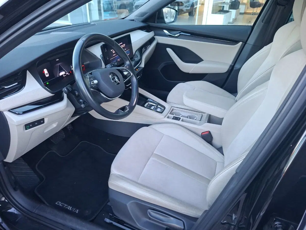 Skoda Octavia usata a Ancona (15)