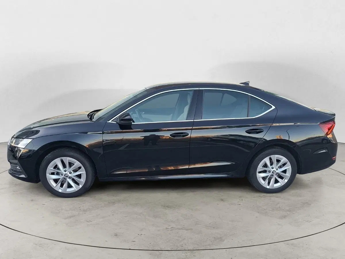 Skoda Octavia usata a Ancona (2)