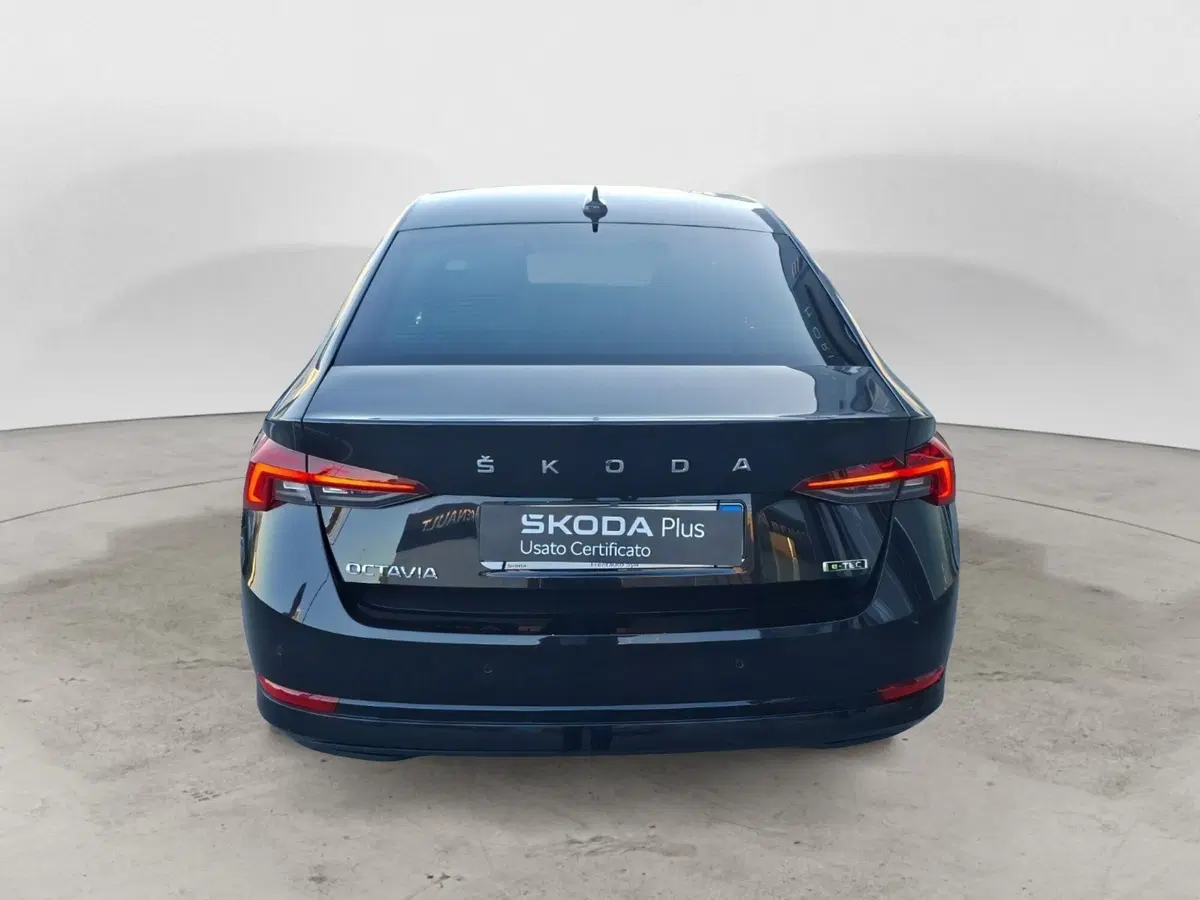Skoda Octavia usata a Ancona (4)