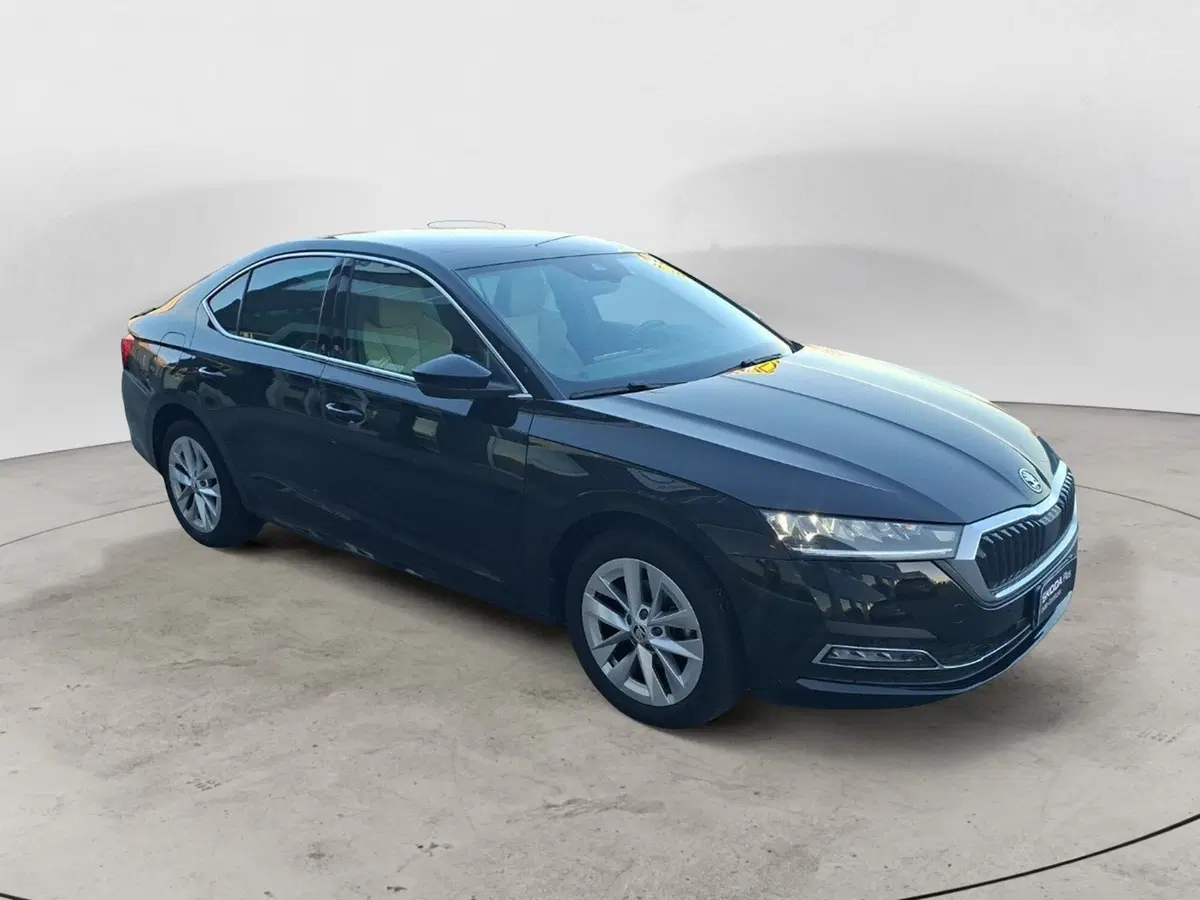 Skoda Octavia usata a Ancona (7)