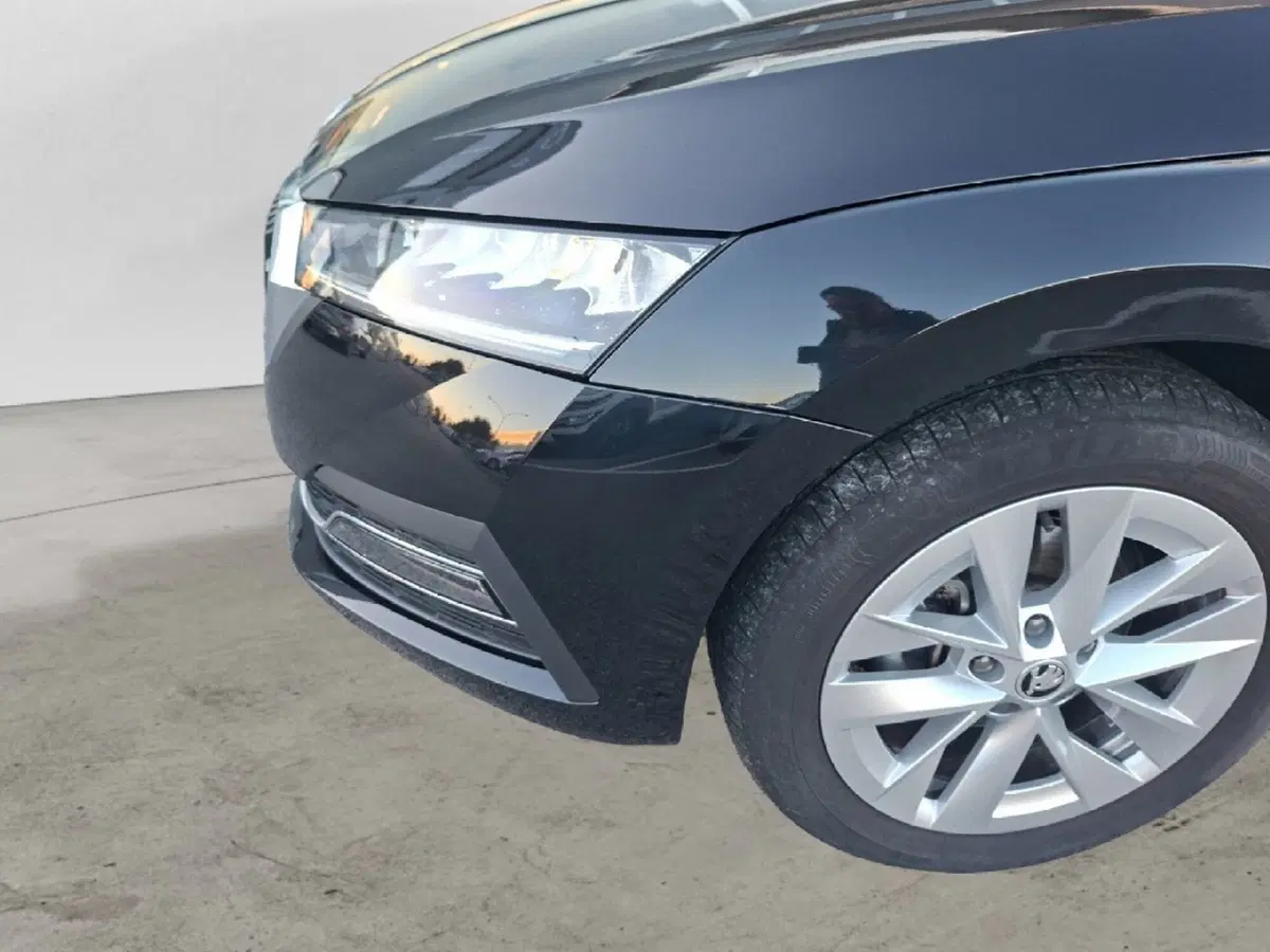 Skoda Octavia usata a Ancona (9)