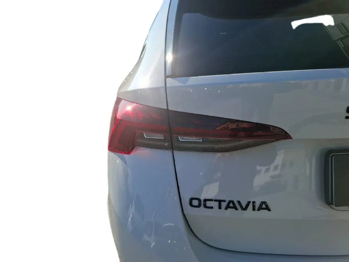 Skoda Octavia Station Wagon usata a Ancona (10)