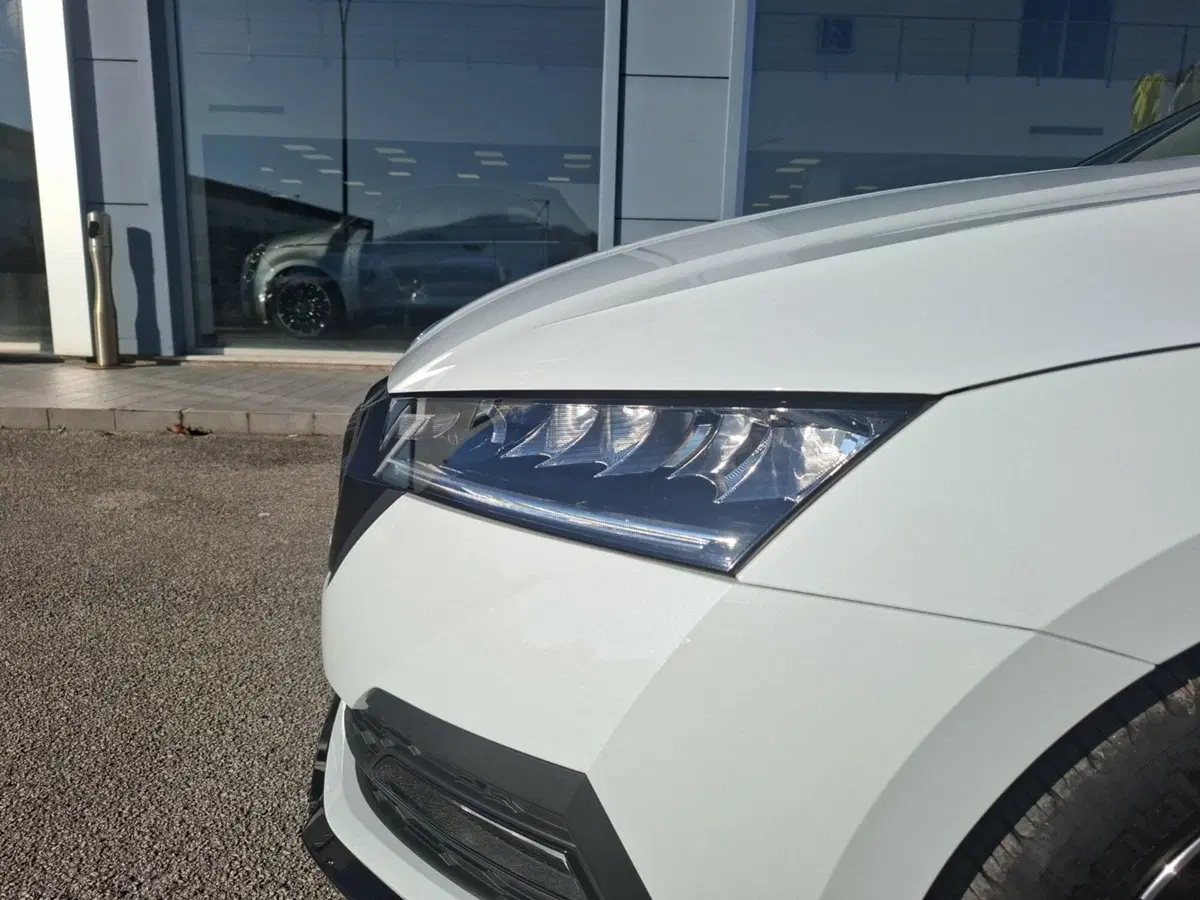 Skoda Octavia Station Wagon usata a Ancona (12)