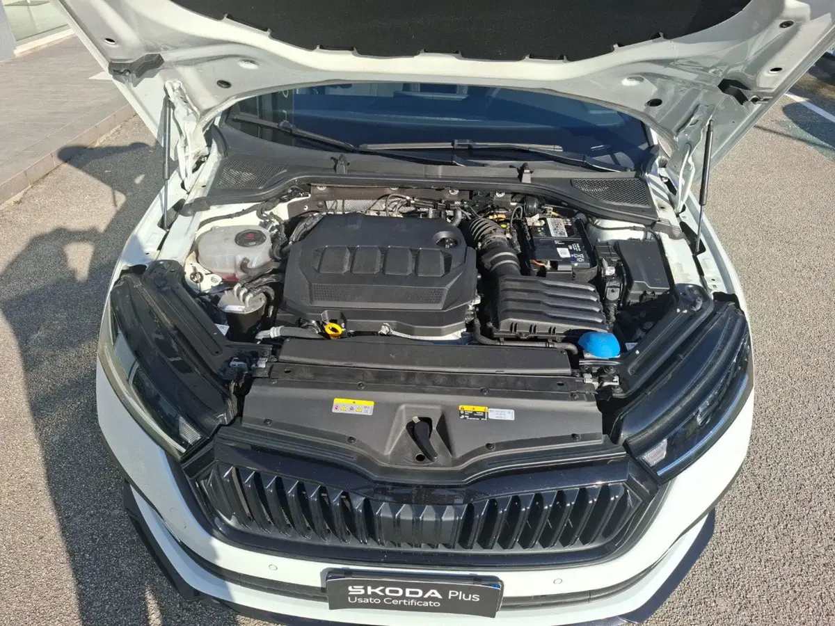 Skoda Octavia Station Wagon usata a Ancona (13)