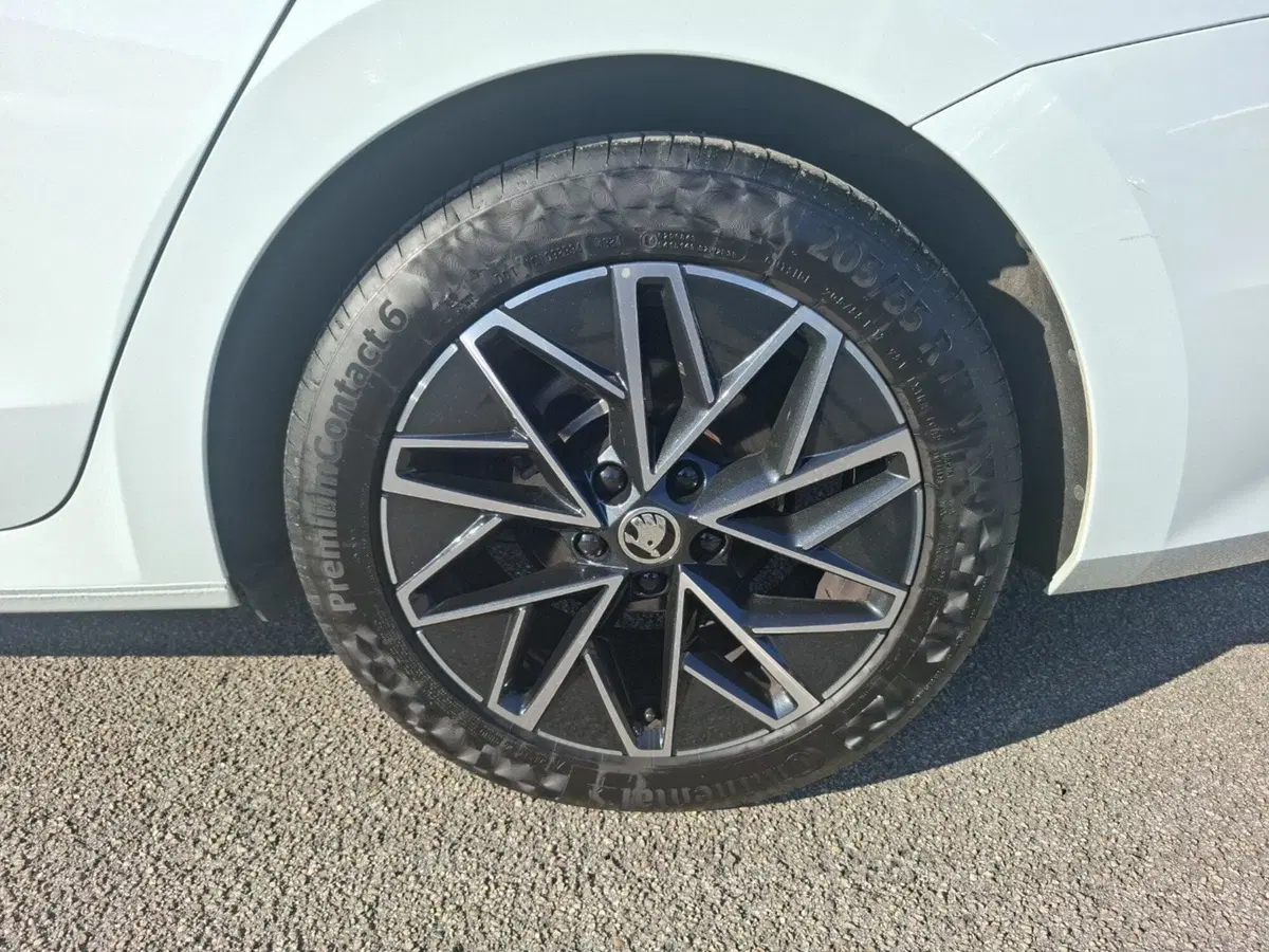 Skoda Octavia Station Wagon usata a Ancona (15)