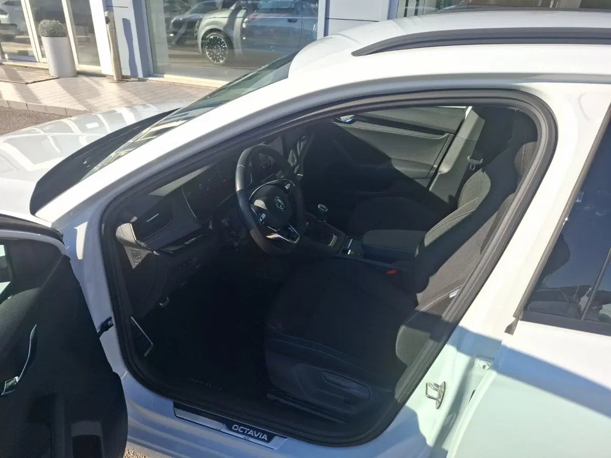 Skoda Octavia Station Wagon usata a Ancona (17)