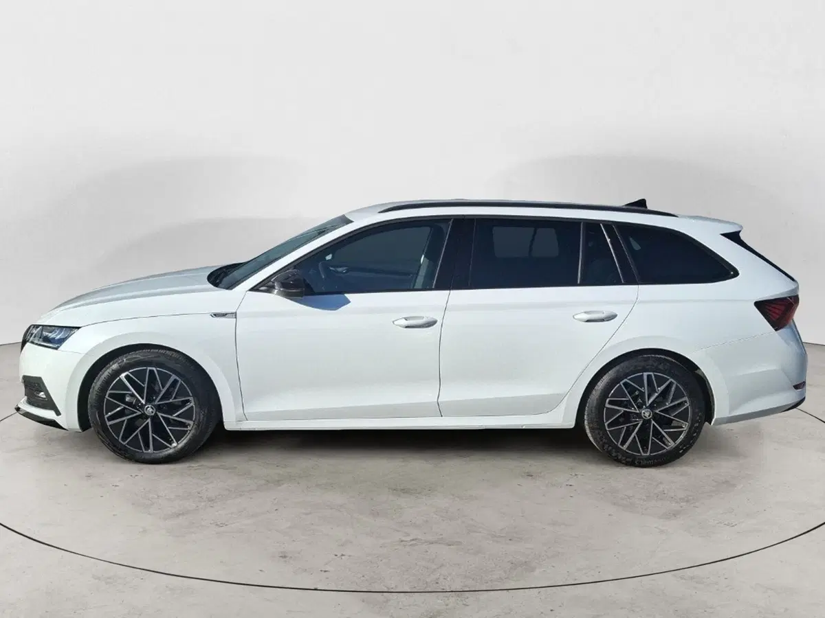 Skoda Octavia Station Wagon usata a Ancona (2)