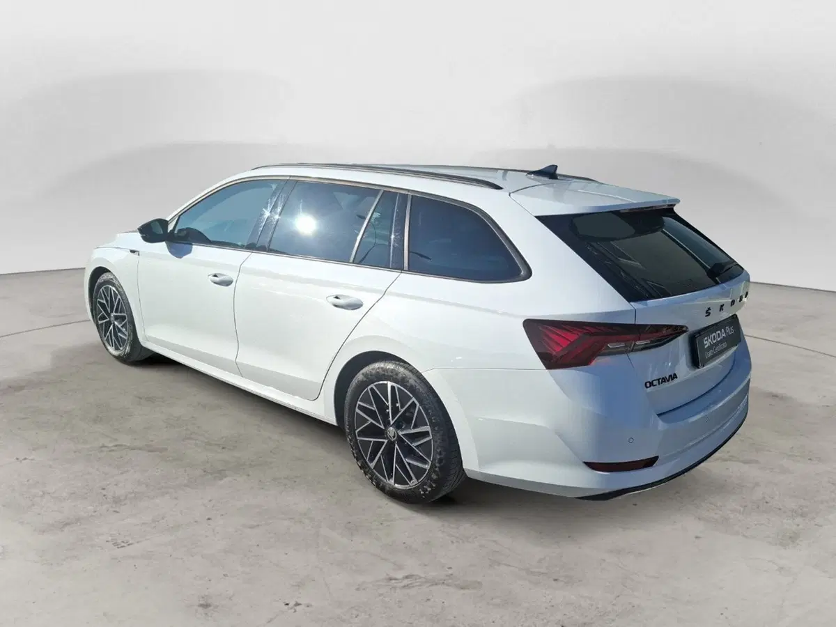 Skoda Octavia Station Wagon usata a Ancona (3)