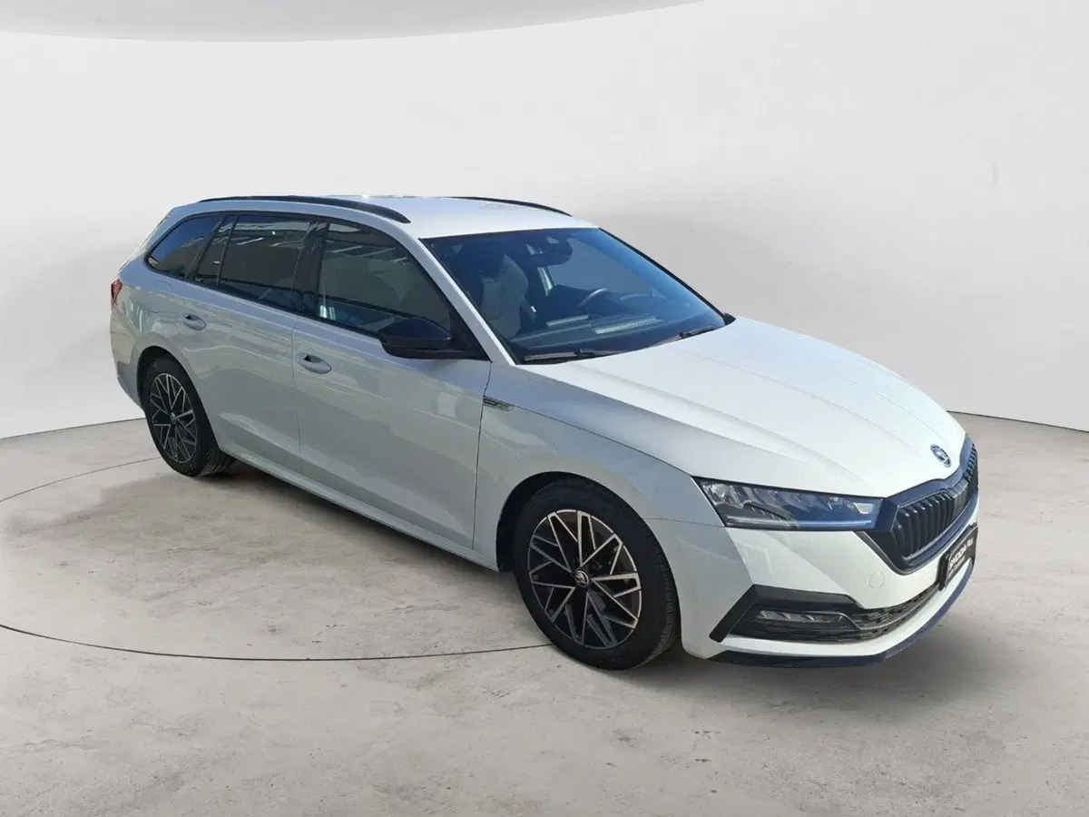 Skoda Octavia Station Wagon usata a Ancona (7)