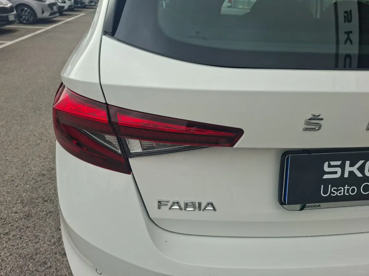 Skoda Fabia usata a Ancona (10)
