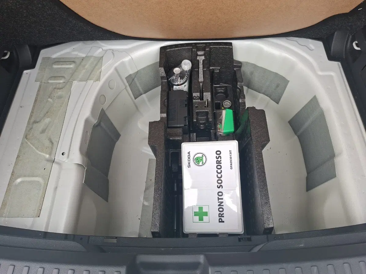 Skoda Fabia usata a Ancona (13)