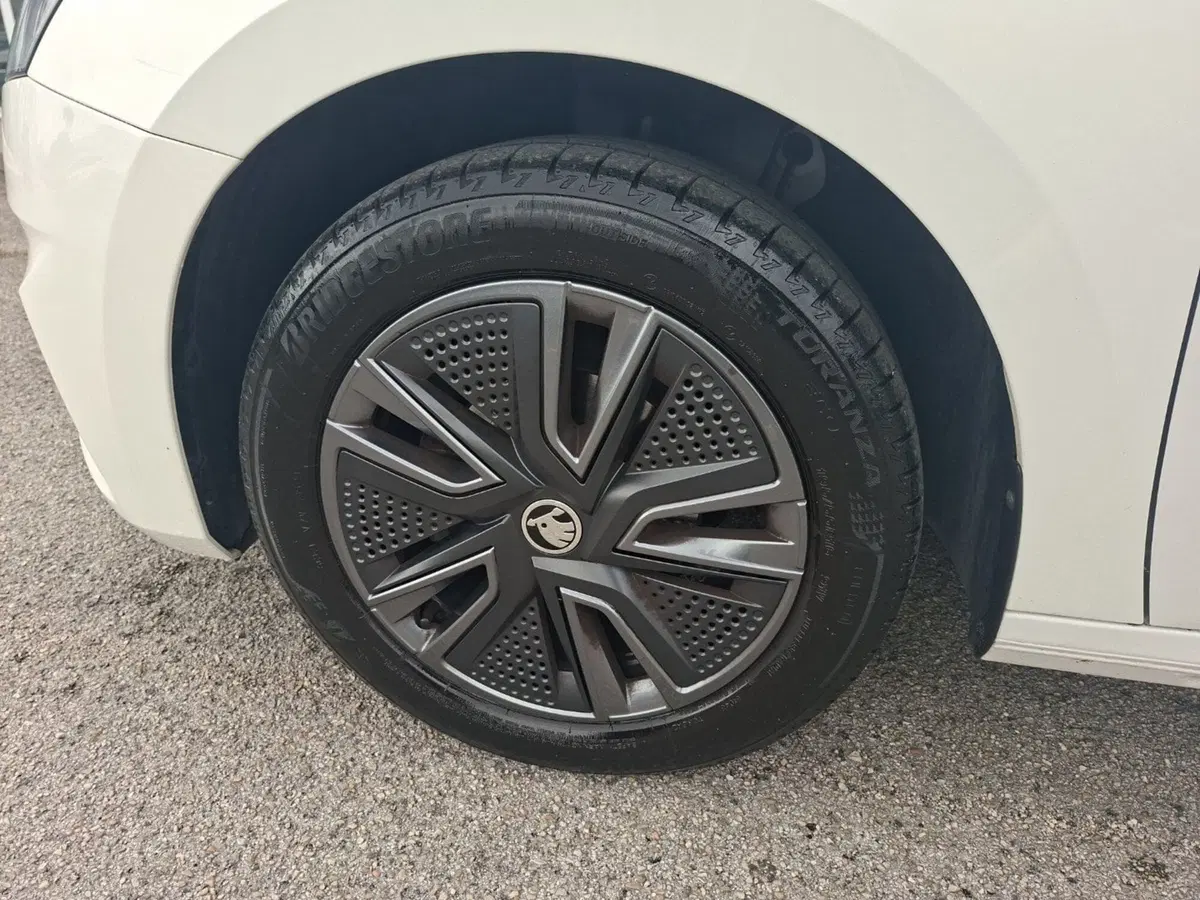 Skoda Fabia usata a Ancona (14)