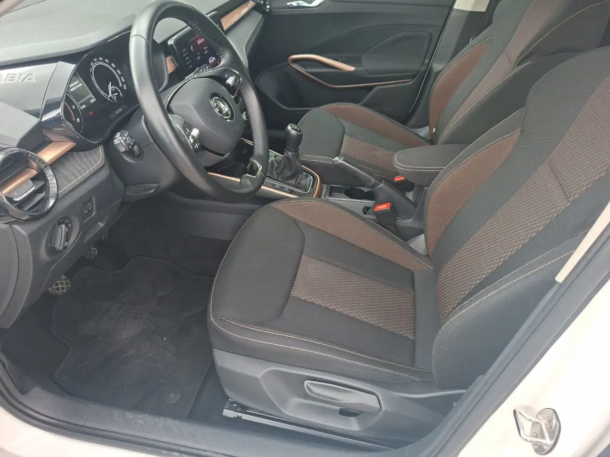 Skoda Fabia usata a Ancona (15)