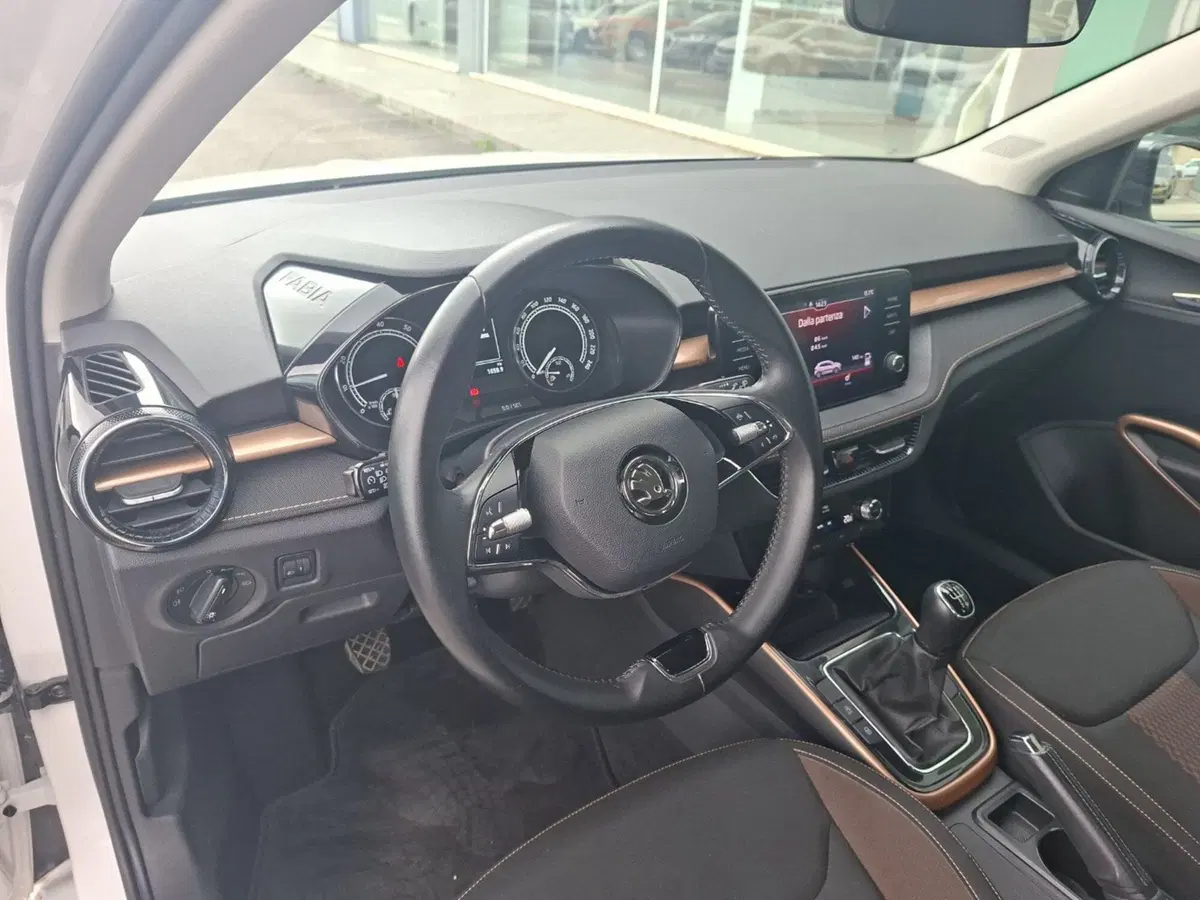 Skoda Fabia usata a Ancona (16)