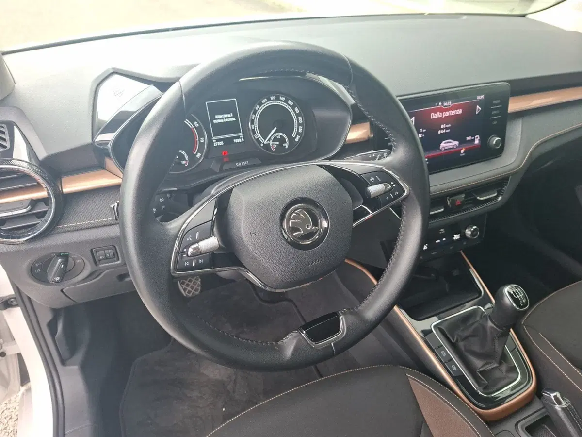 Skoda Fabia usata a Ancona (19)