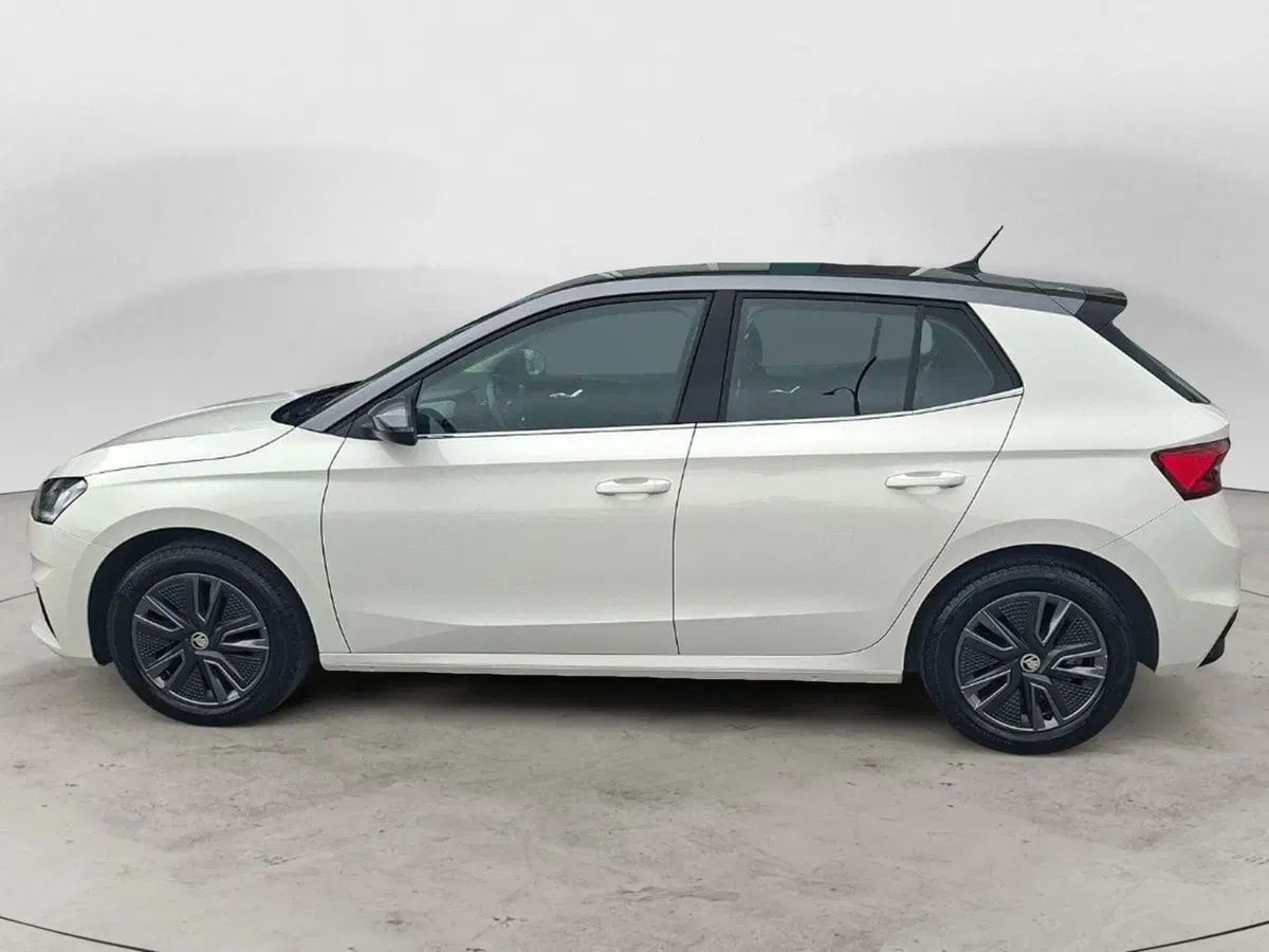 Skoda Fabia usata a Ancona (2)