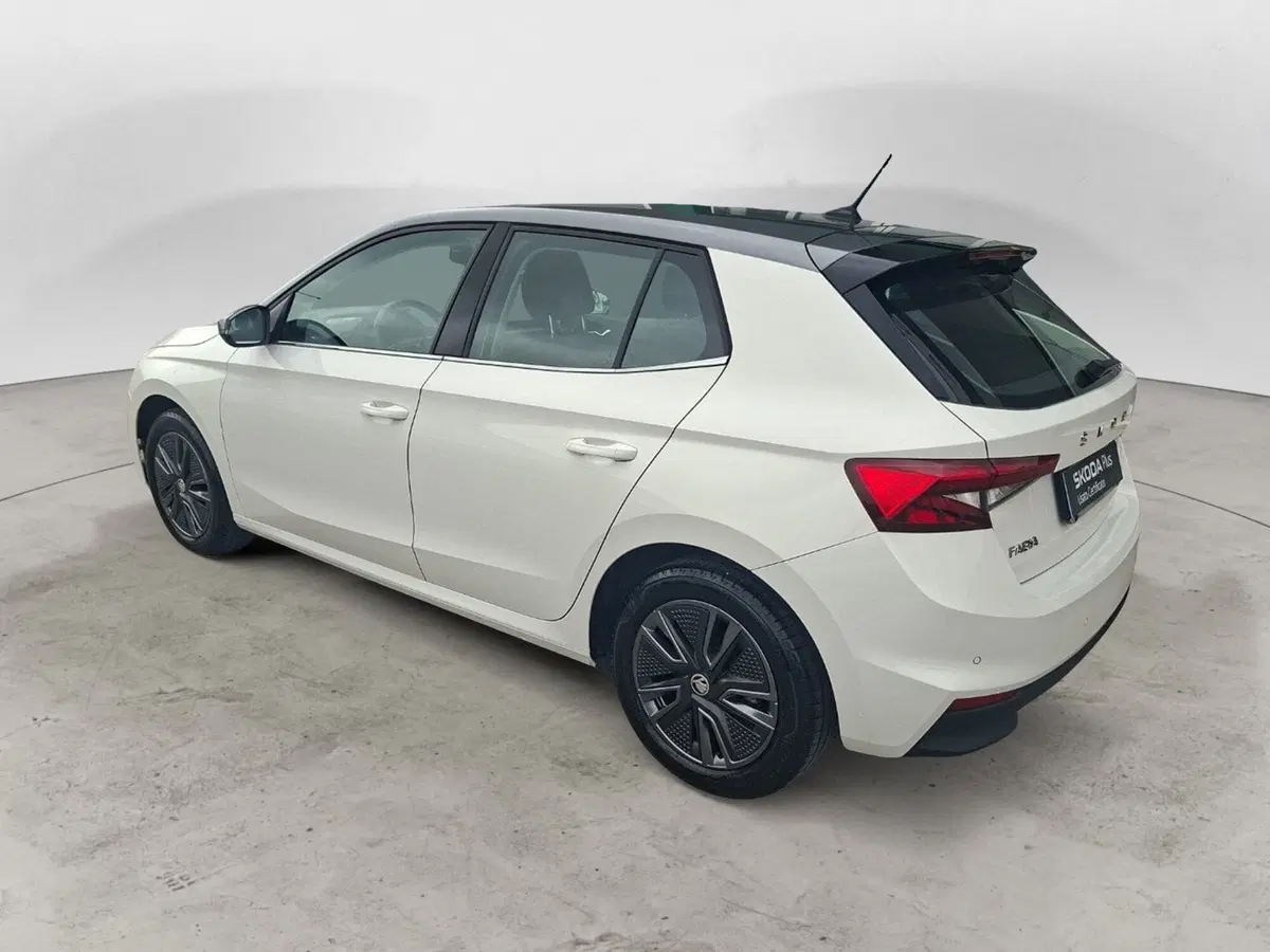 Skoda Fabia usata a Ancona (3)