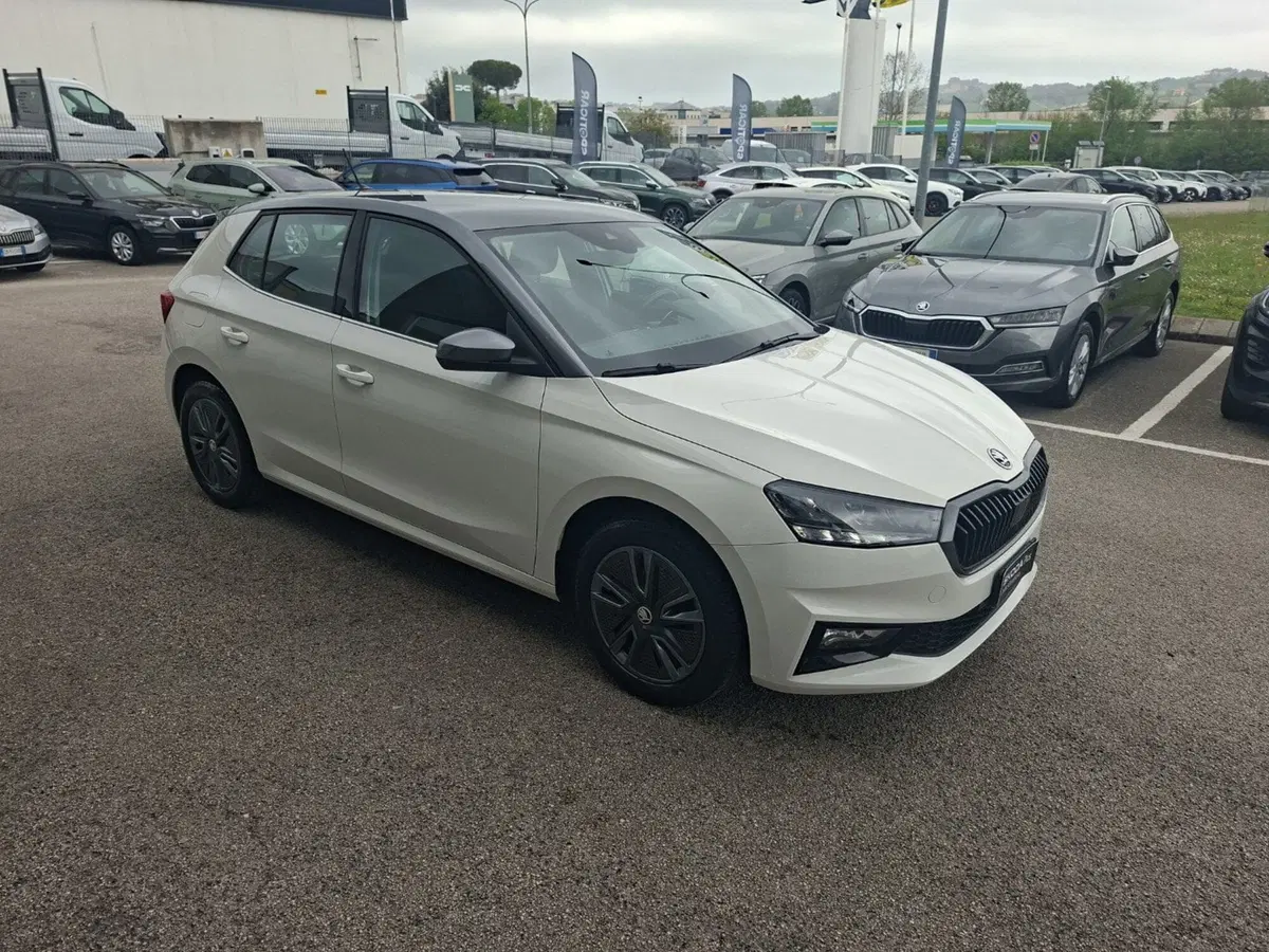 Skoda Fabia usata a Ancona (7)