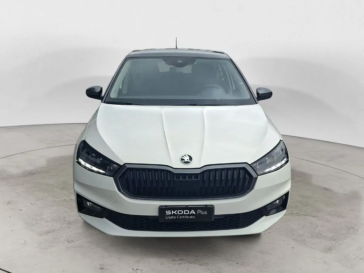 Skoda Fabia usata a Ancona (8)