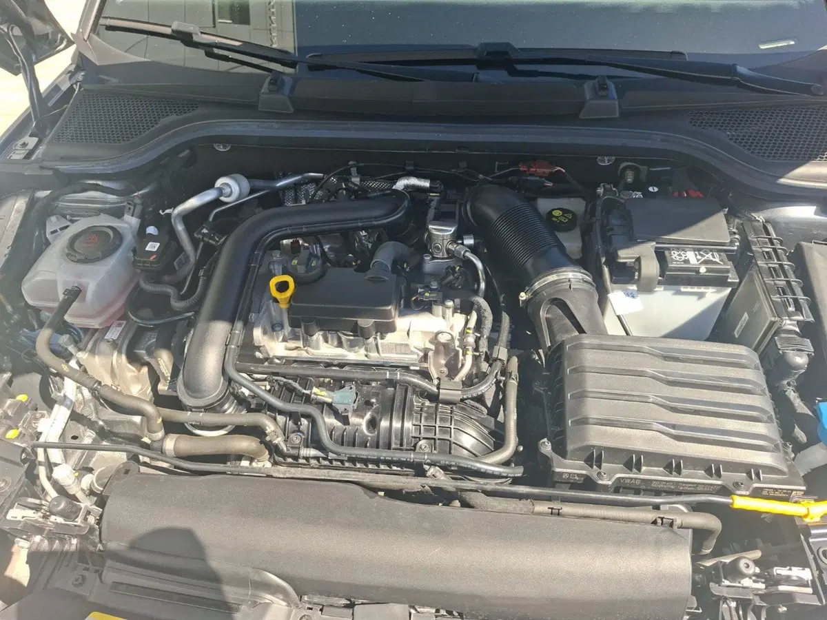 Skoda Kamiq usata a Ancona (10)