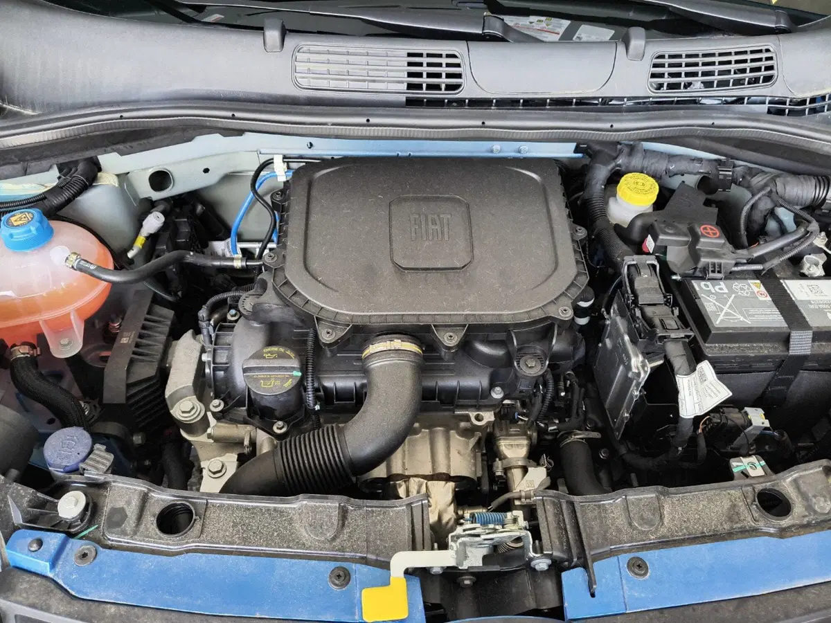 Fiat Panda Cross nuova a Ancona (13)