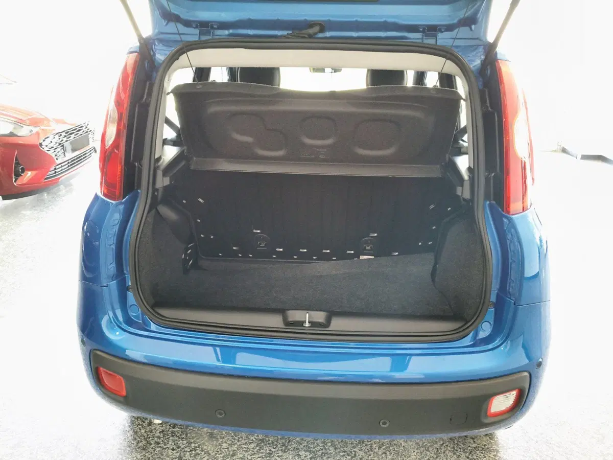 Fiat Panda Cross nuova a Ancona (14)