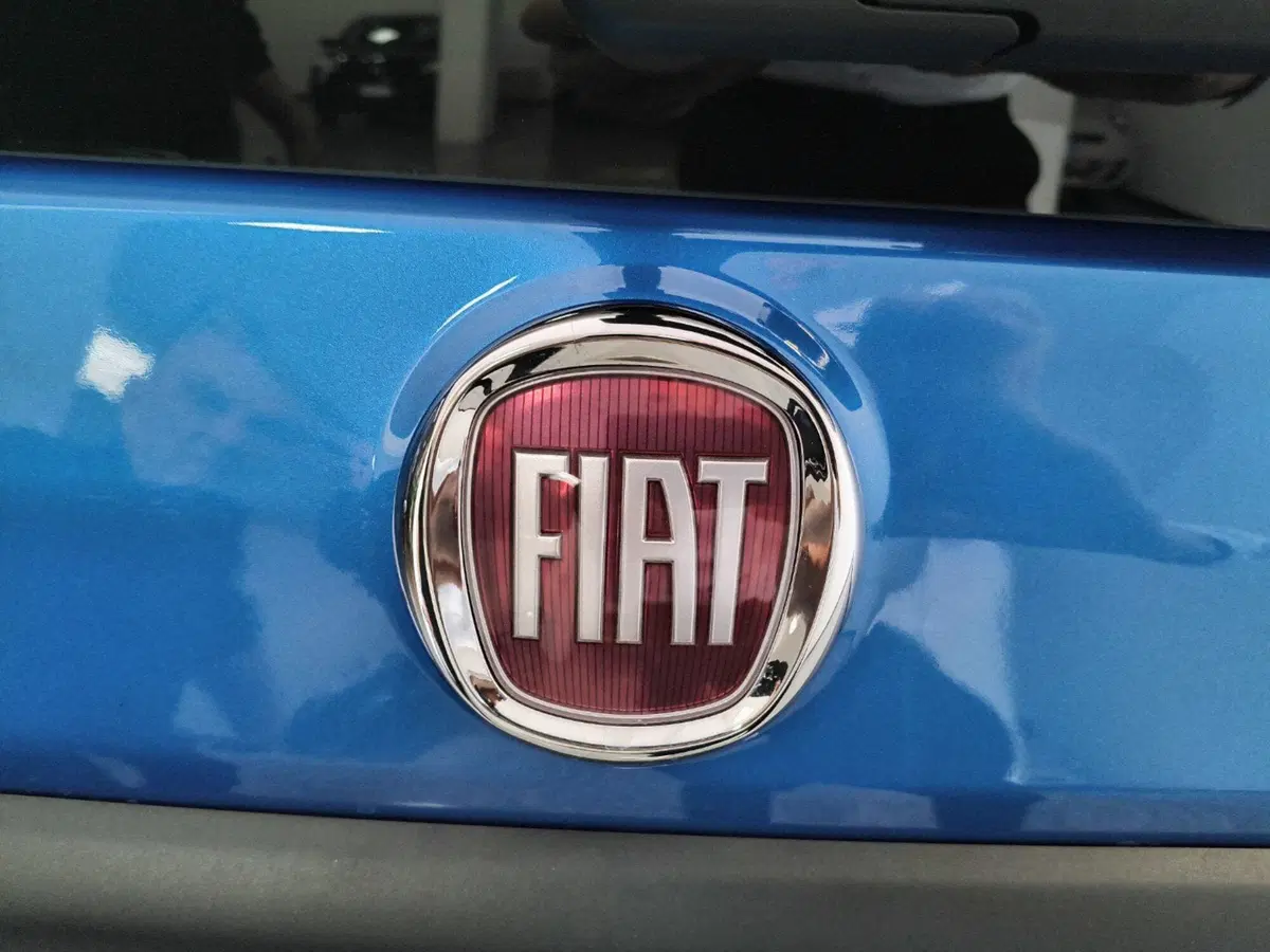 Fiat Panda Cross nuova a Ancona (18)