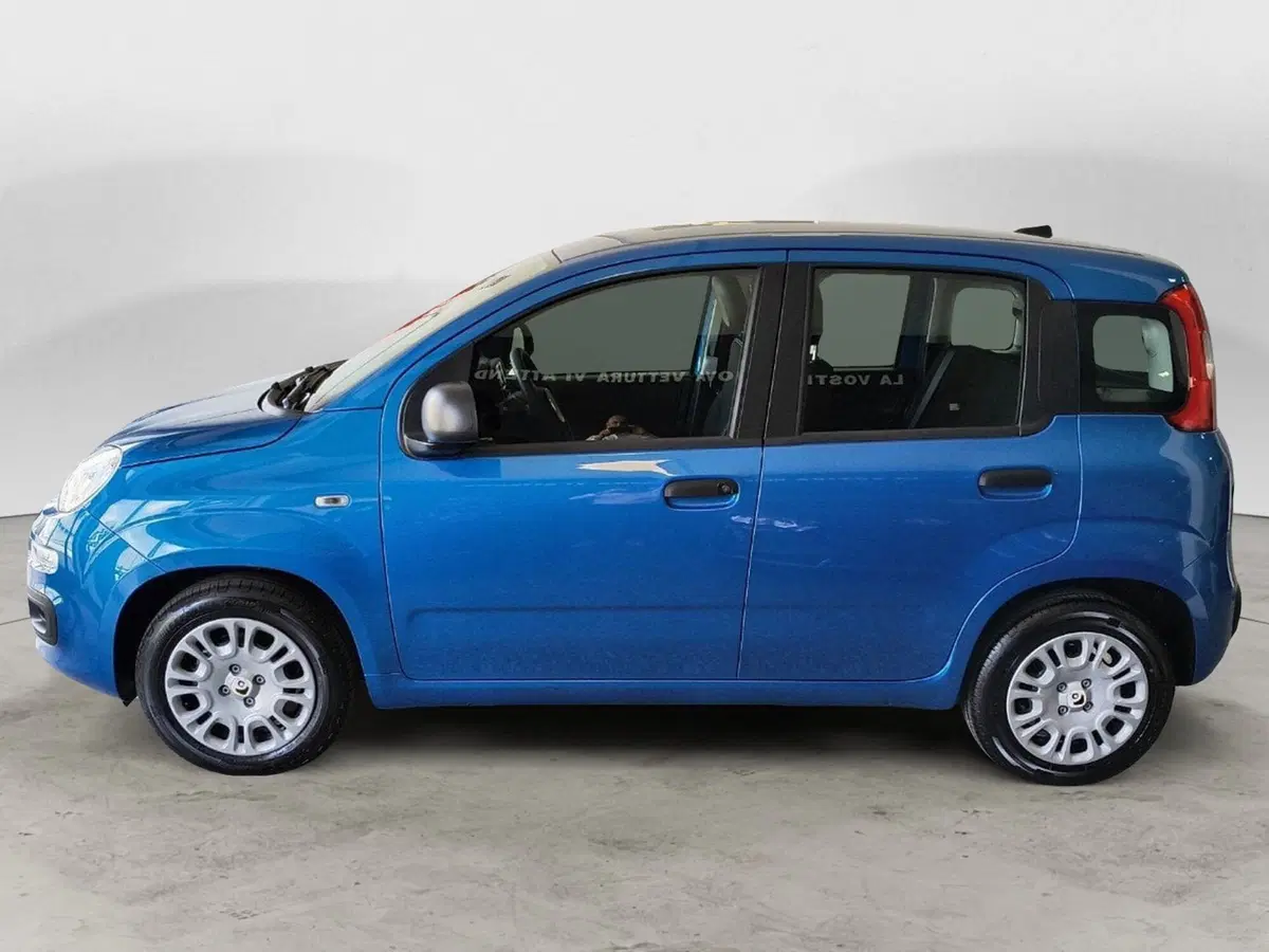 Fiat Panda Cross nuova a Ancona (2)