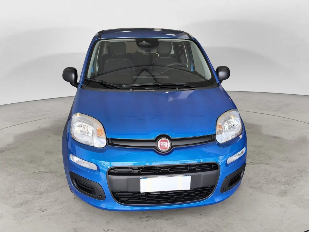 Fiat Panda Cross nuova a Ancona (5)