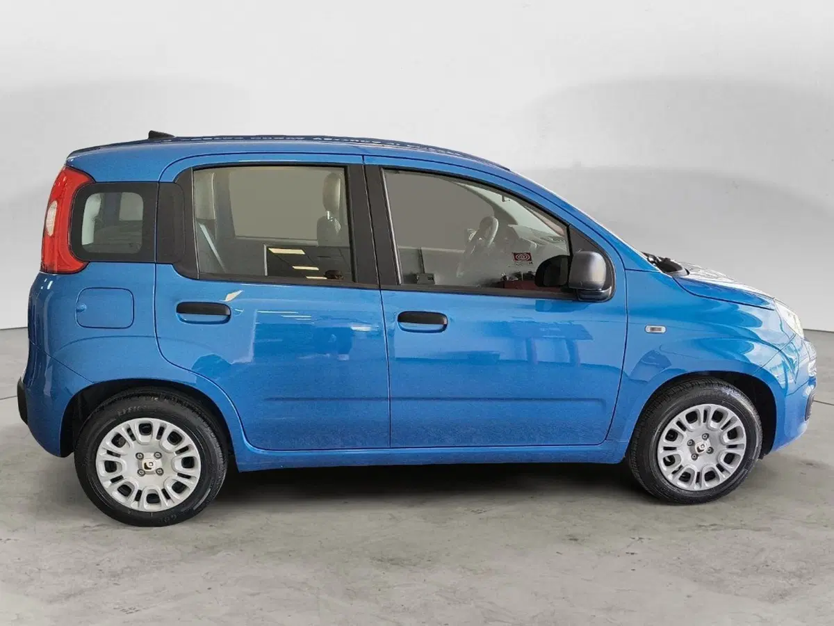 Fiat Panda Cross nuova a Ancona (7)