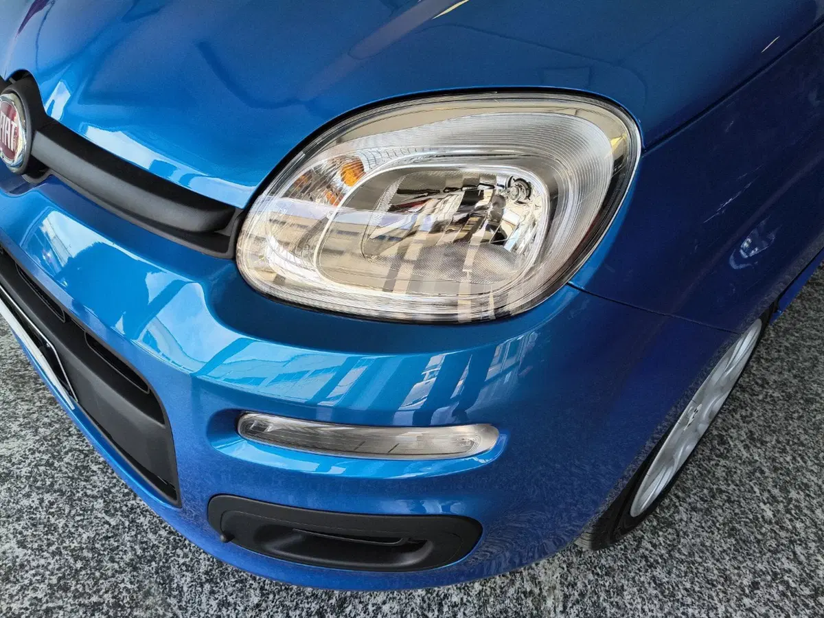 Fiat Panda Cross nuova a Ancona (9)