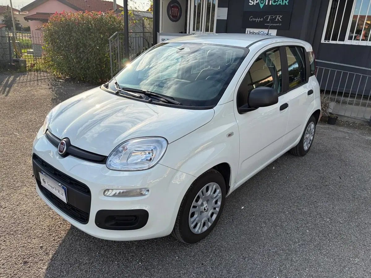 Fiat Pandina usata a La Spezia (3)