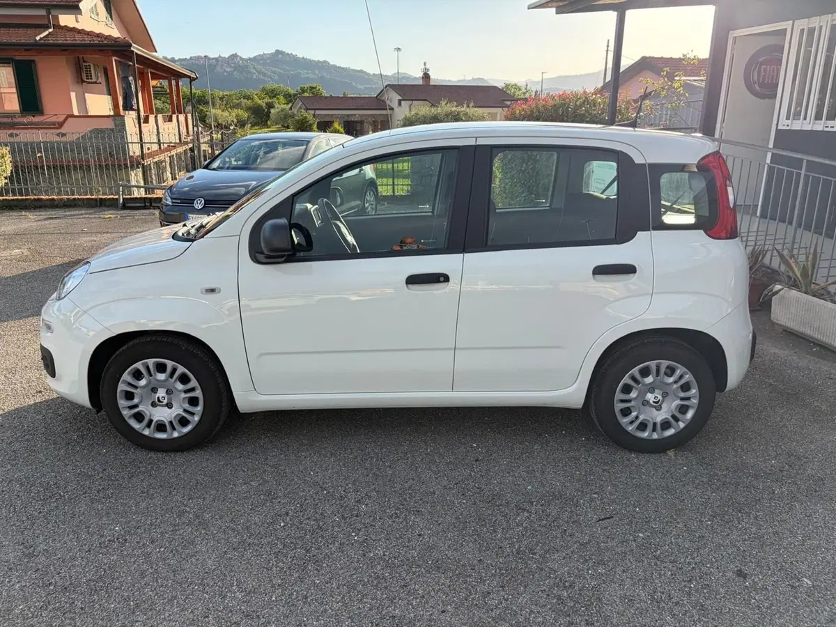 Fiat Pandina usata a La Spezia (4)