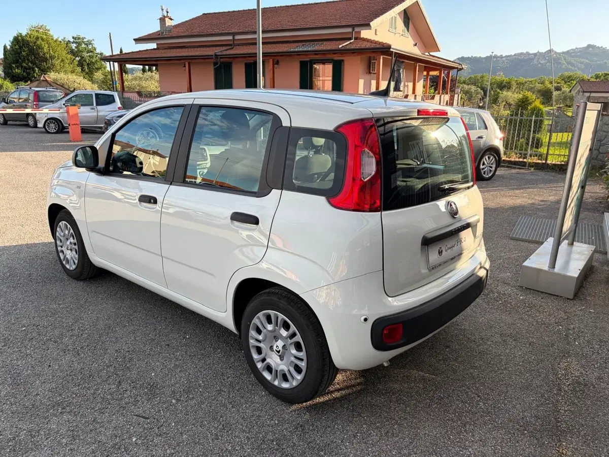 Fiat Pandina usata a La Spezia (5)